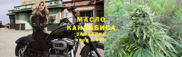 гашик Бородино