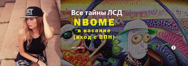 гашик Бородино