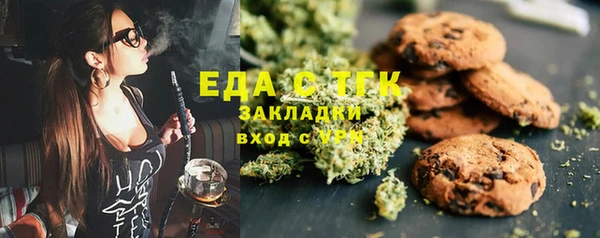гашик Бородино