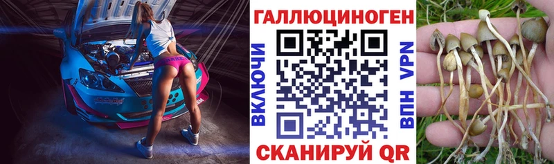 Галлюциногенные грибы Psilocybine cubensis Новохопёрск